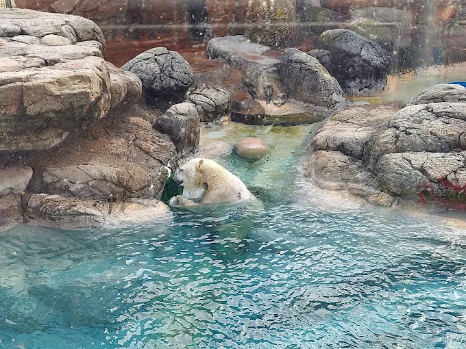 North Carolina Aquariums