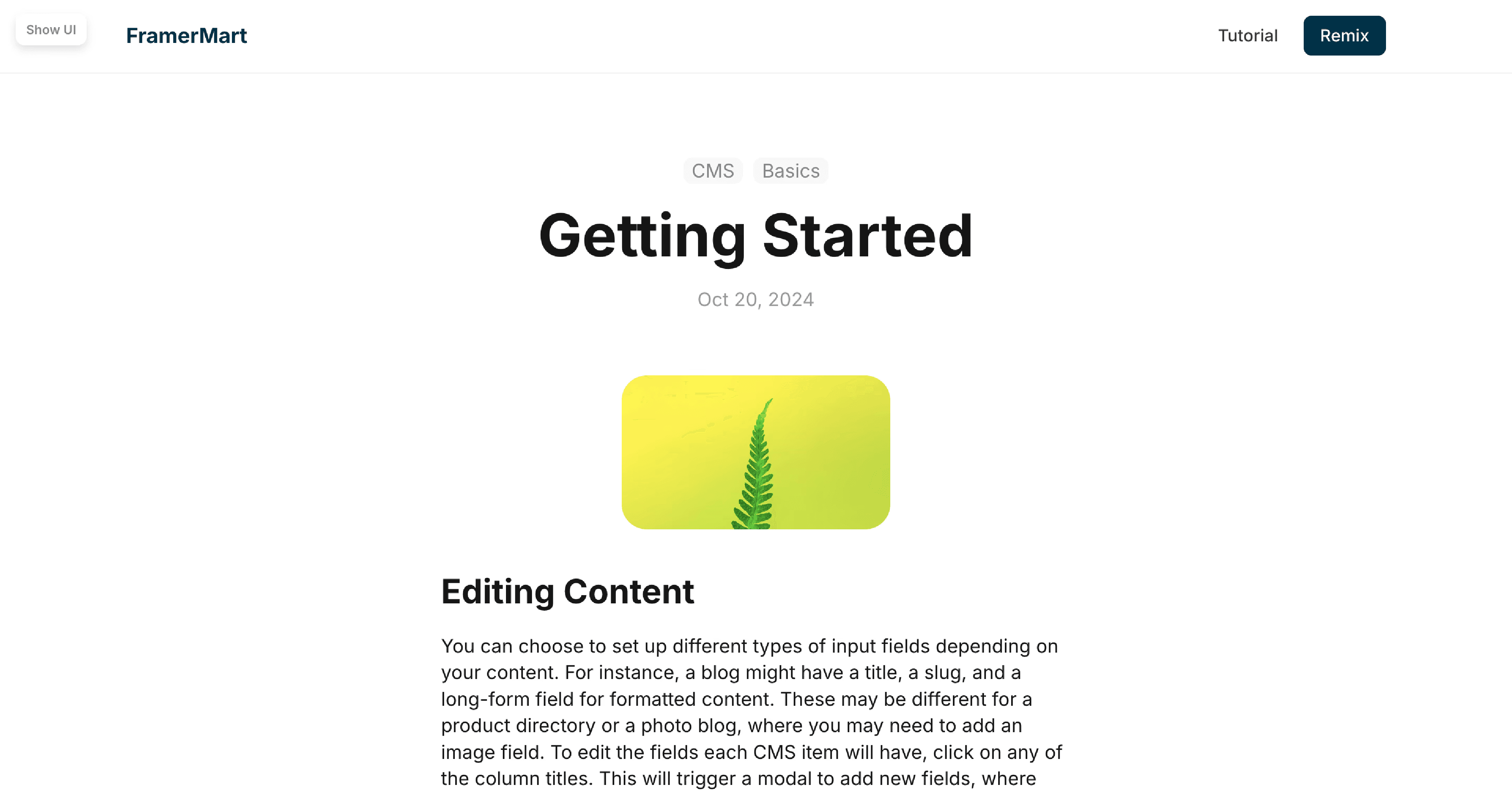 Center Images in the CMS Content in Framer