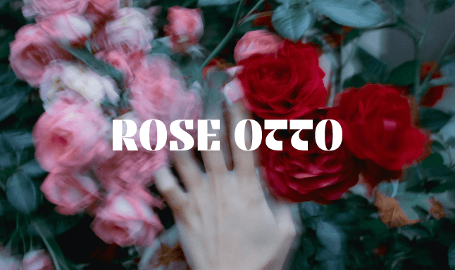 Rose Otto Ecommerce Design and Development