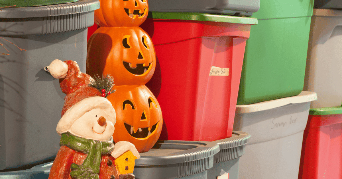 Stored Christmas decorations hide pests