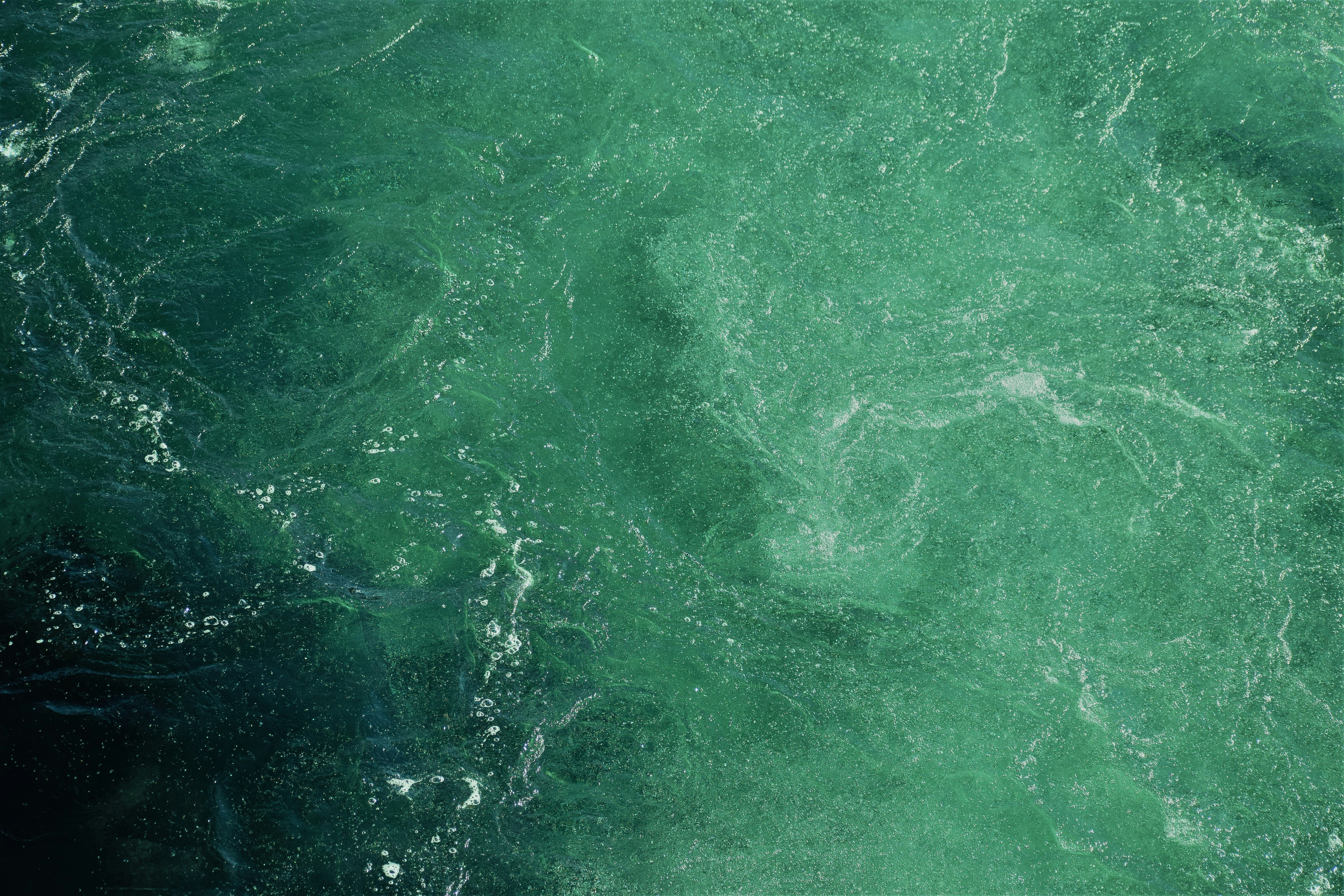 green and yellow light digital wallpaper