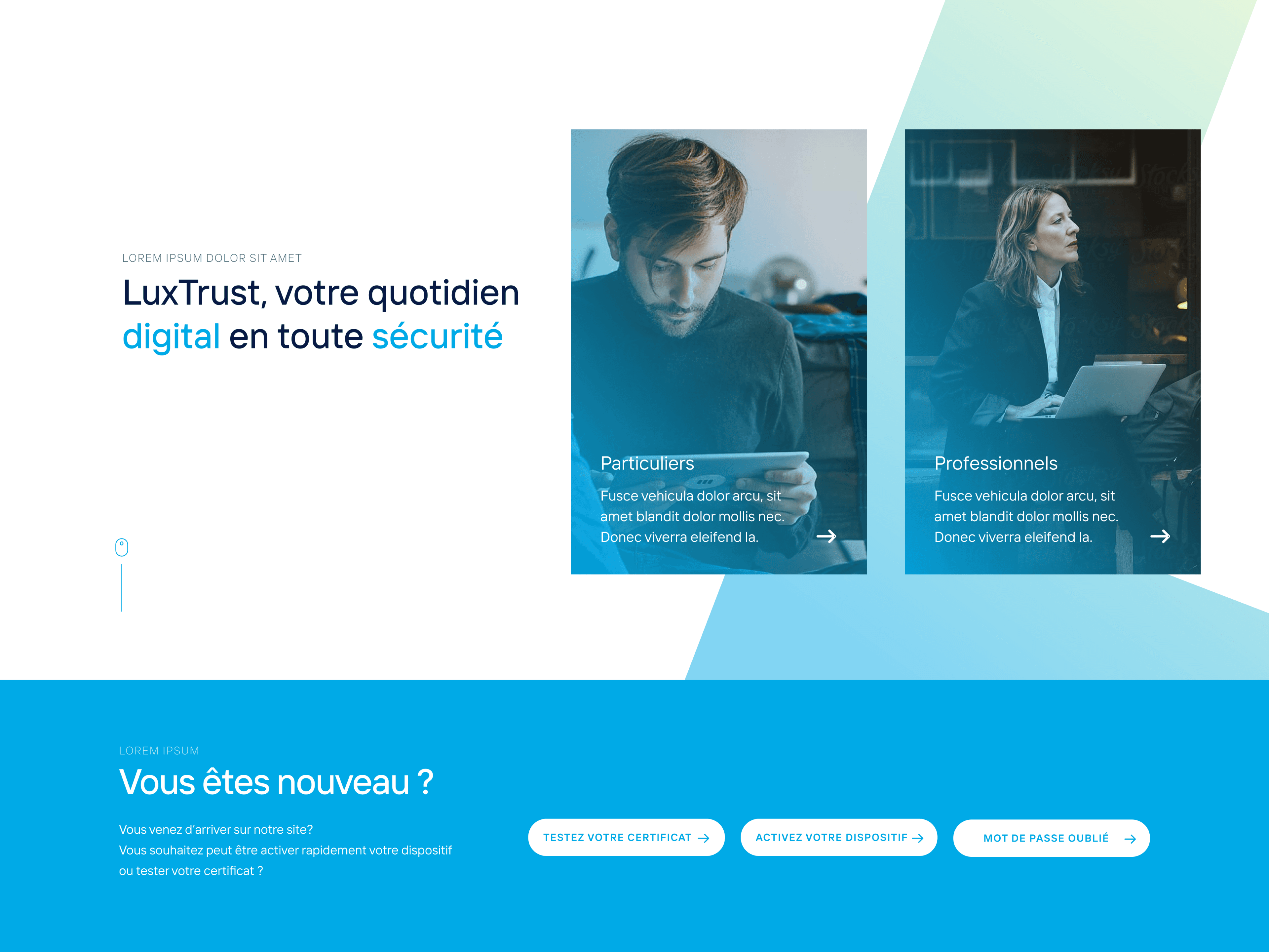Presentation of work