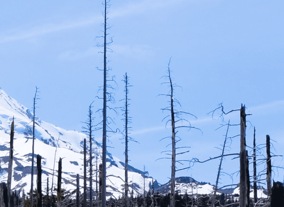 The natural ice blue that fills the sky behind the Cloud Cap Inn inspired accent colors and winter themes