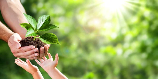 Atelier 2Tonnes - Chez Nakama