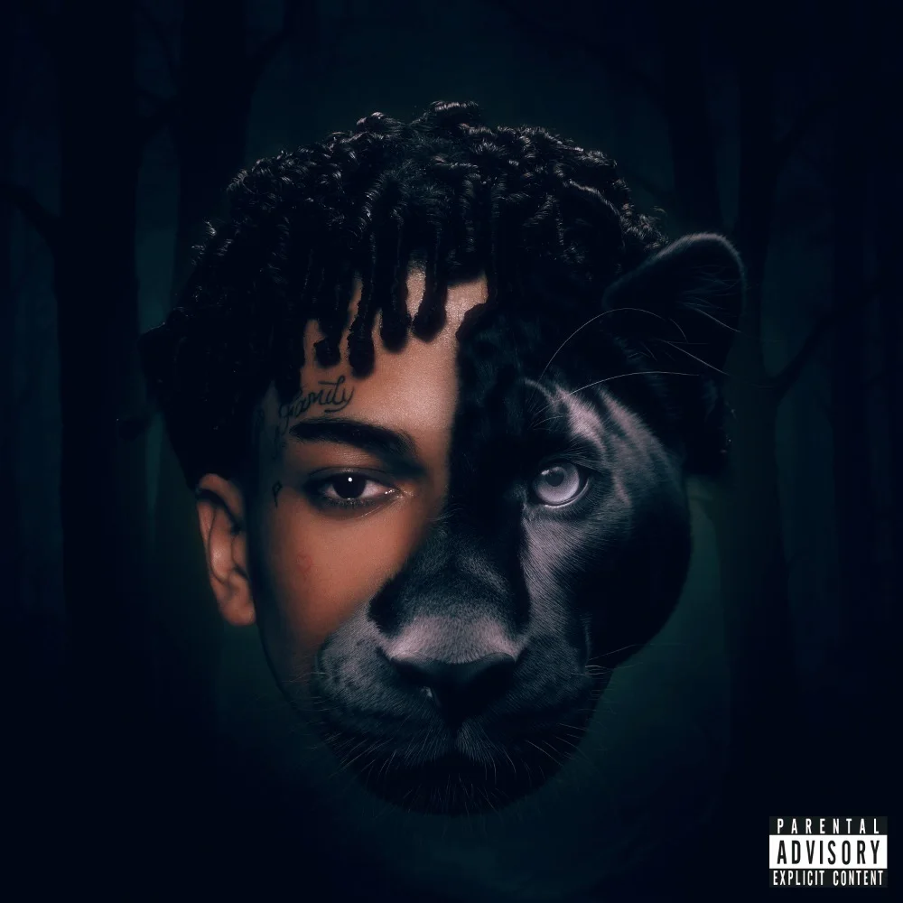 Capa da Música - Melhor Nível - Reid - 1em1