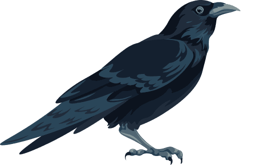 Crow