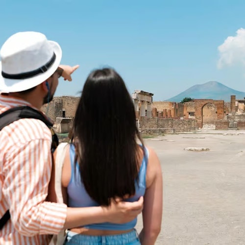 庞贝古城：含语音指南的入场票 + 从萨莱诺往返的火车票