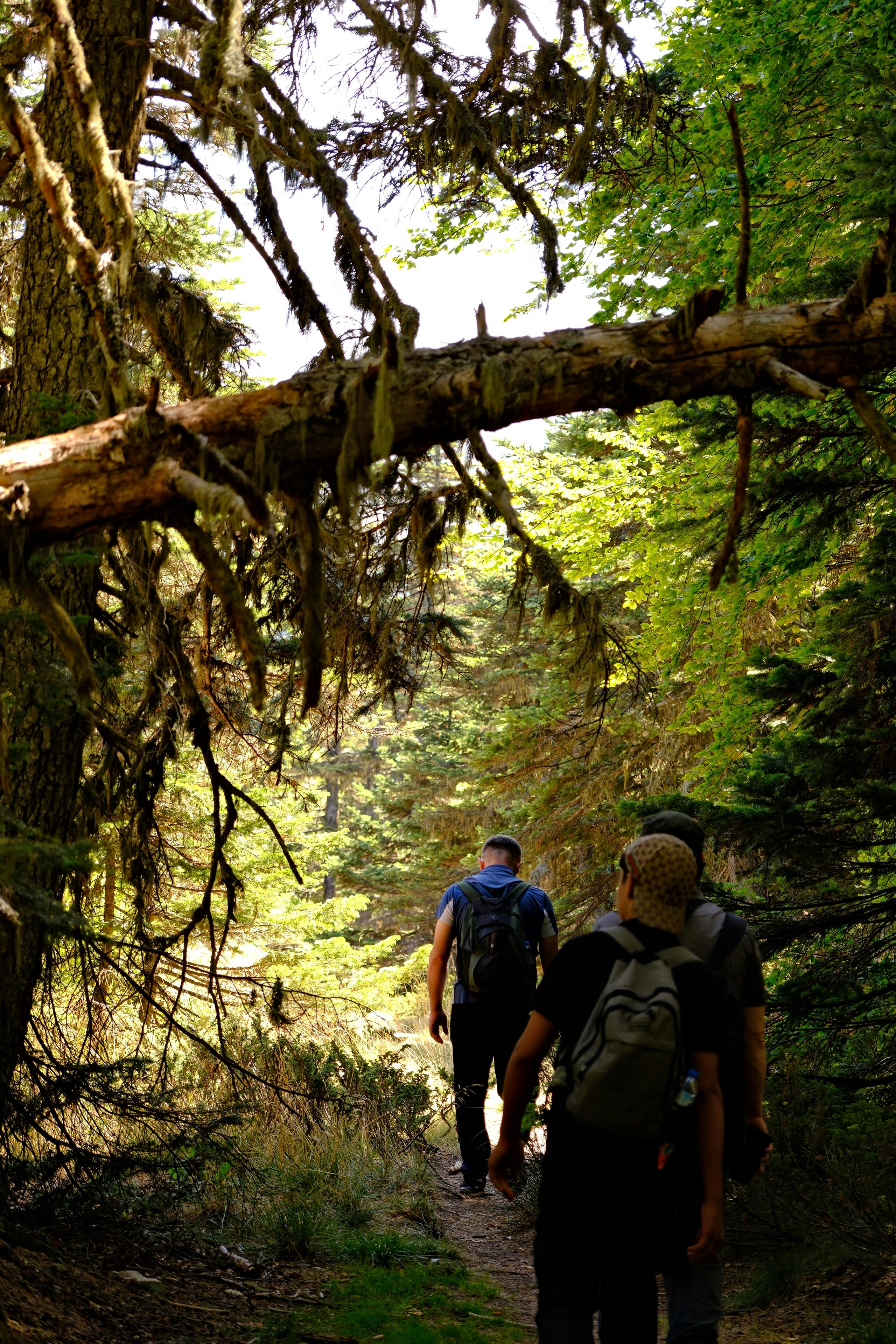 man in black jacket and blue denim shorts with black hiking backpack standing on mountain during
