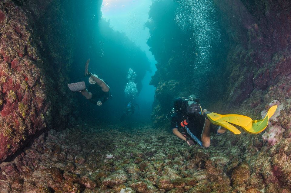 two person scuba diving