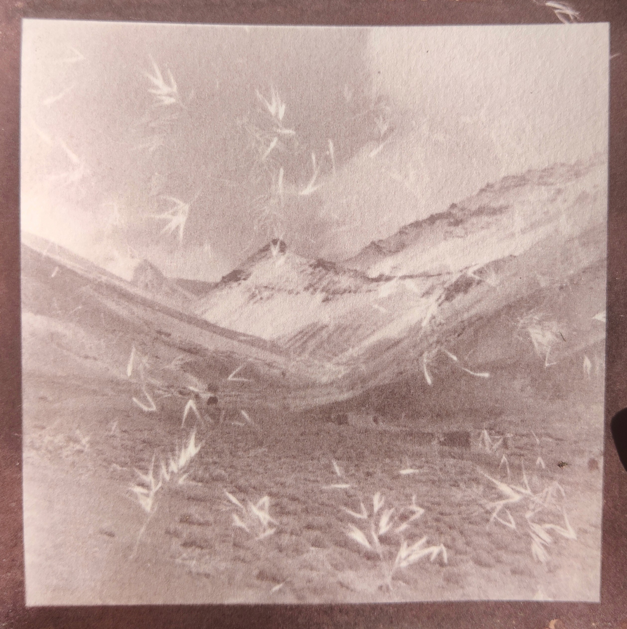 herd of sheep on road painting