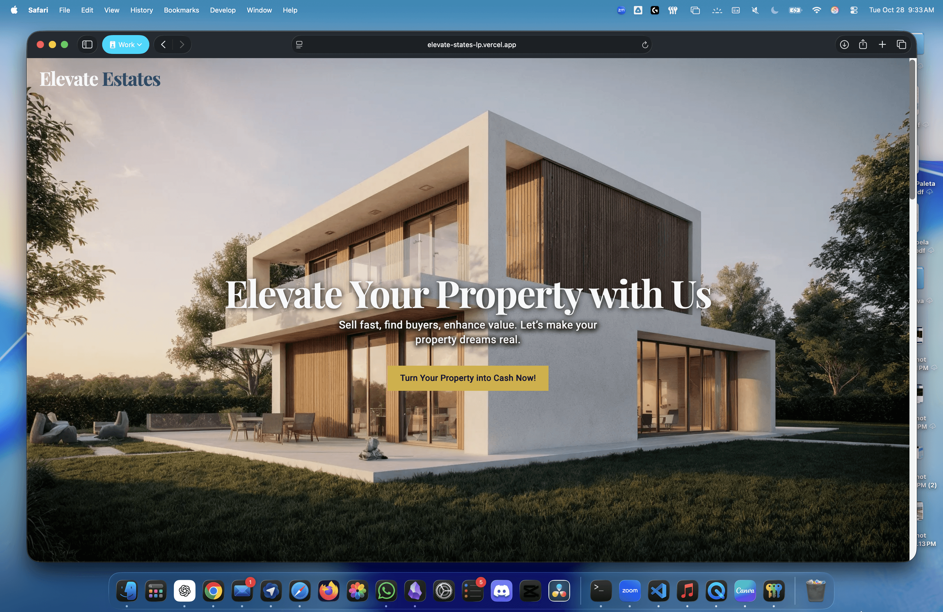 project img