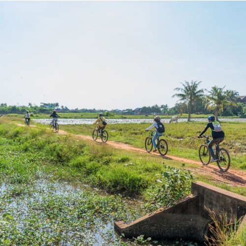 五名骑自行车的人在一条土路上骑行，旁边是绿意盎然的水道和棕榈树，天空晴朗蔚蓝。
