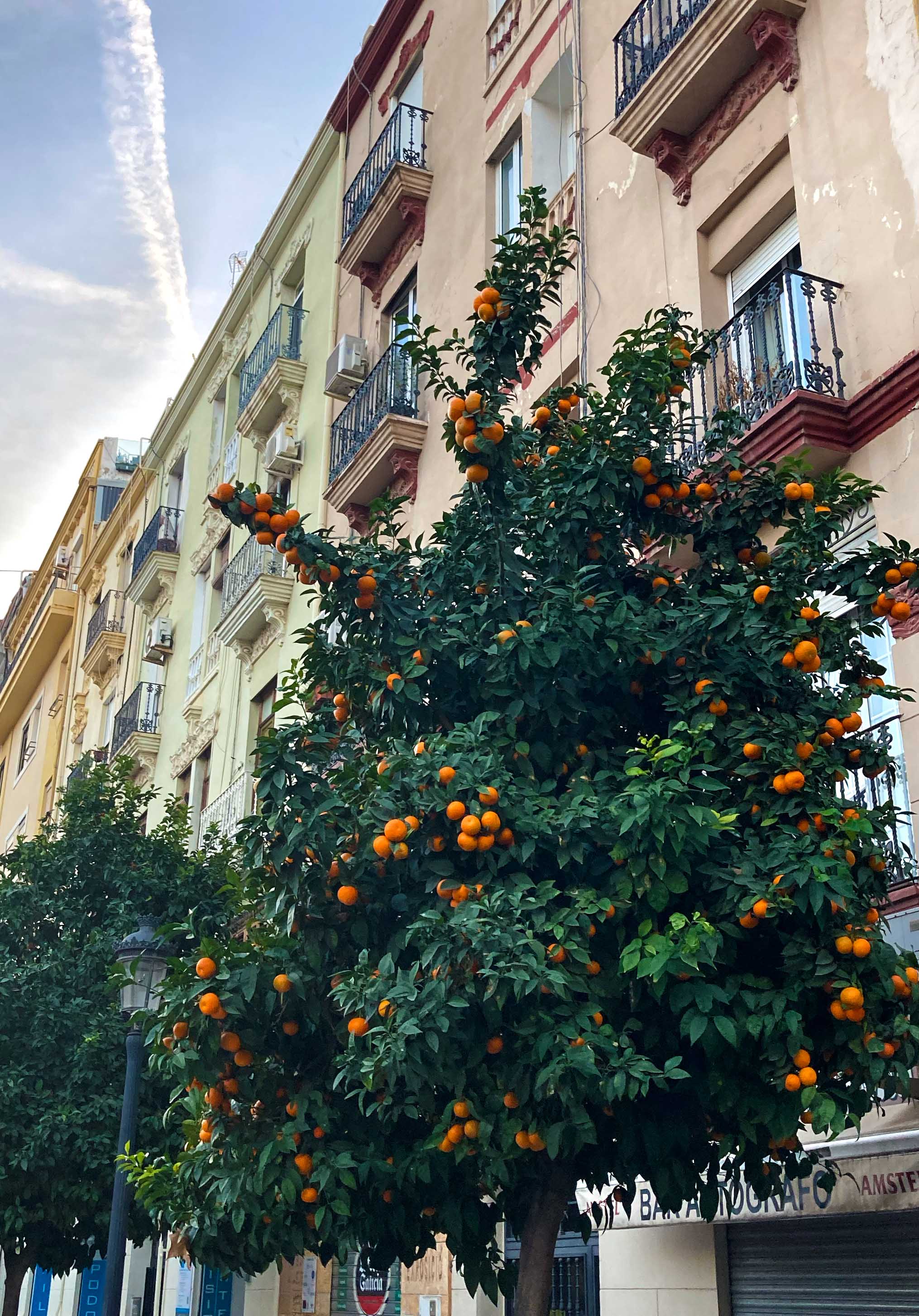 Modern Residence