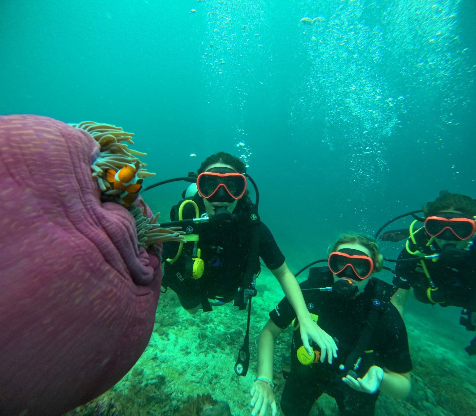 two divers next to a nemo fish