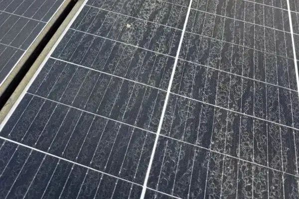 Prim-plan cu panouri fotovoltaice acoperite de praf, înaintea curățării profesionale