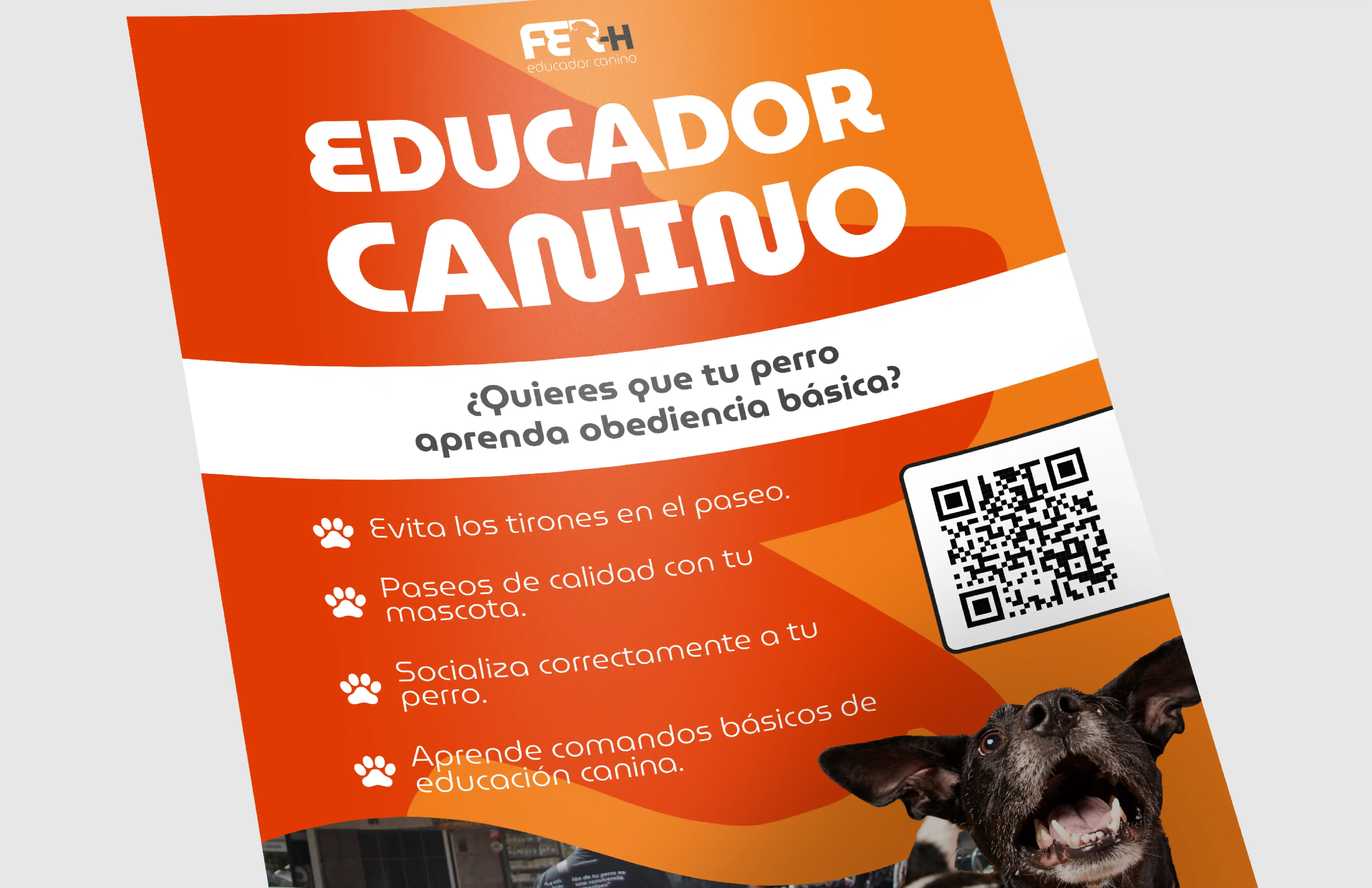 Caprichorros - Paseos Caninos