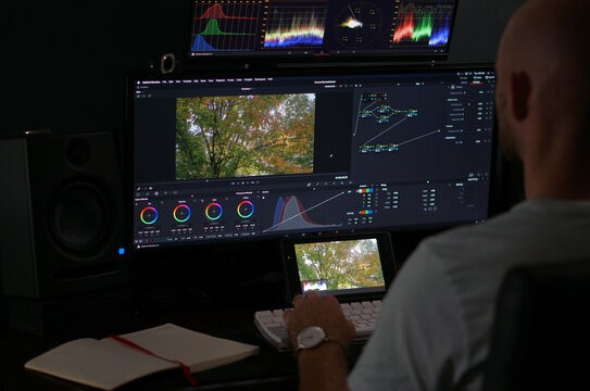 Chart or graph showing pricing information, representing transparent pricing with no hidden fees.
