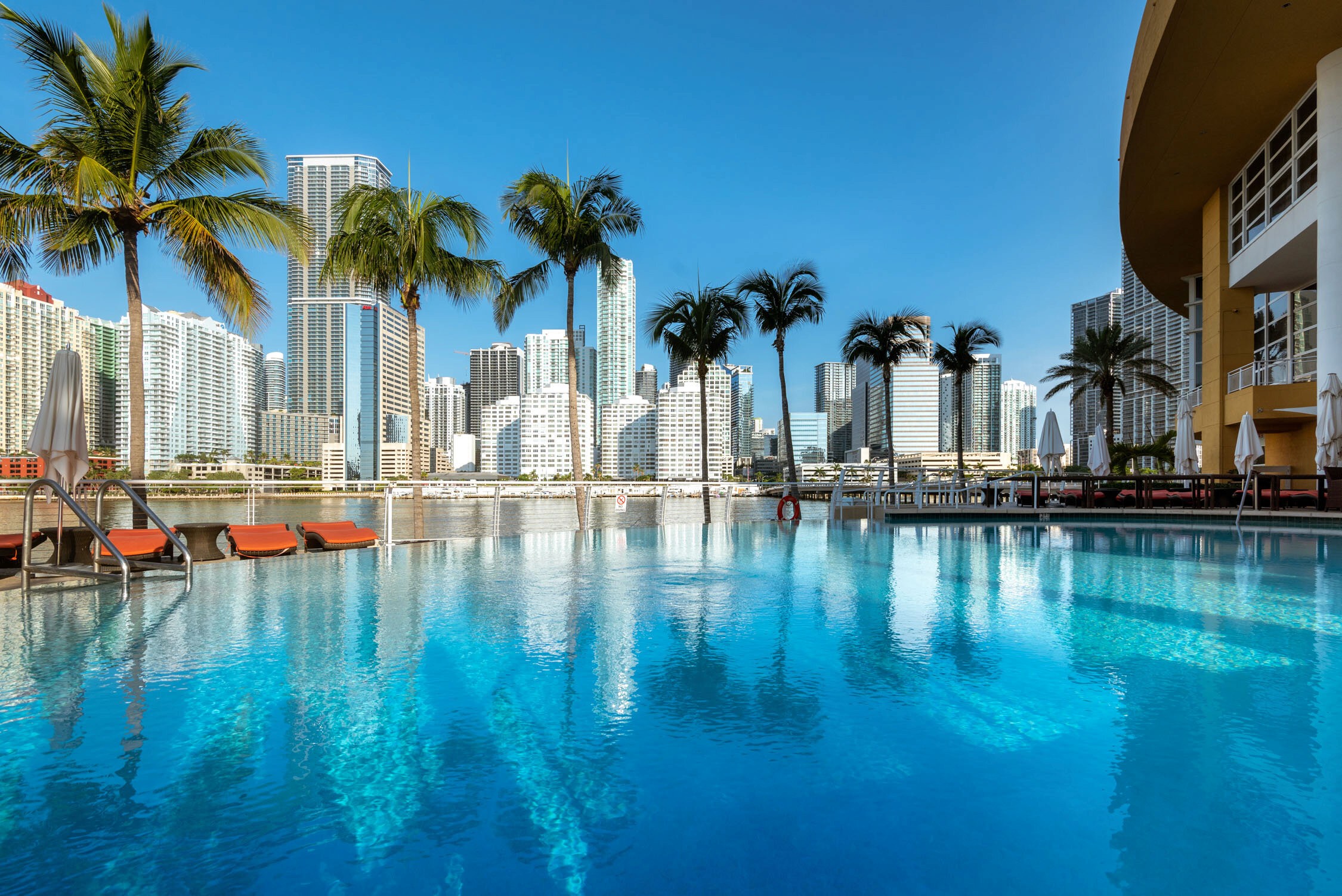 A turquoise swimming pool with lounge chairs and palm trees in front of a skyline of white high-rise buildings.