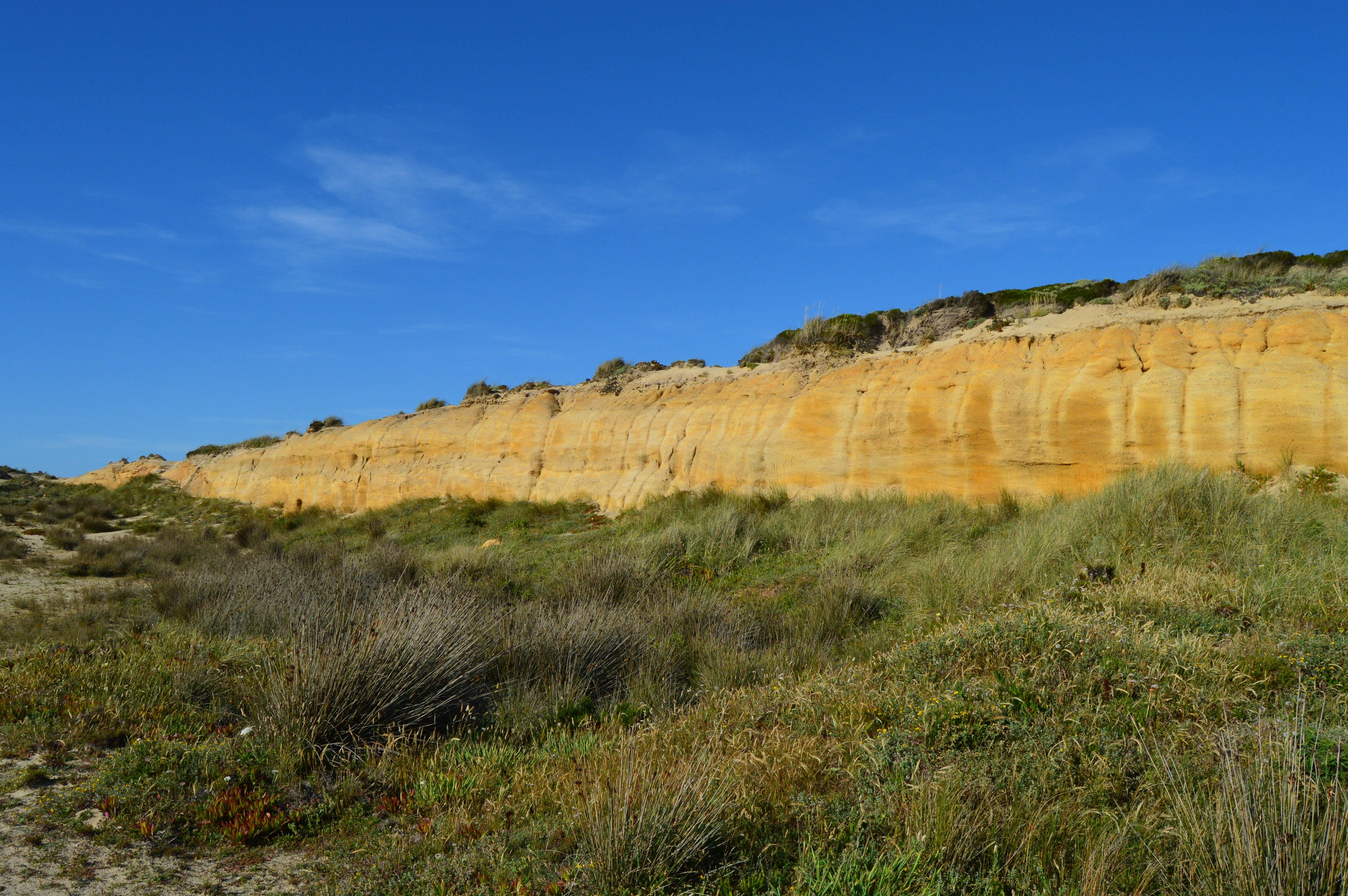 A grassy area with yellow cliffs in the background