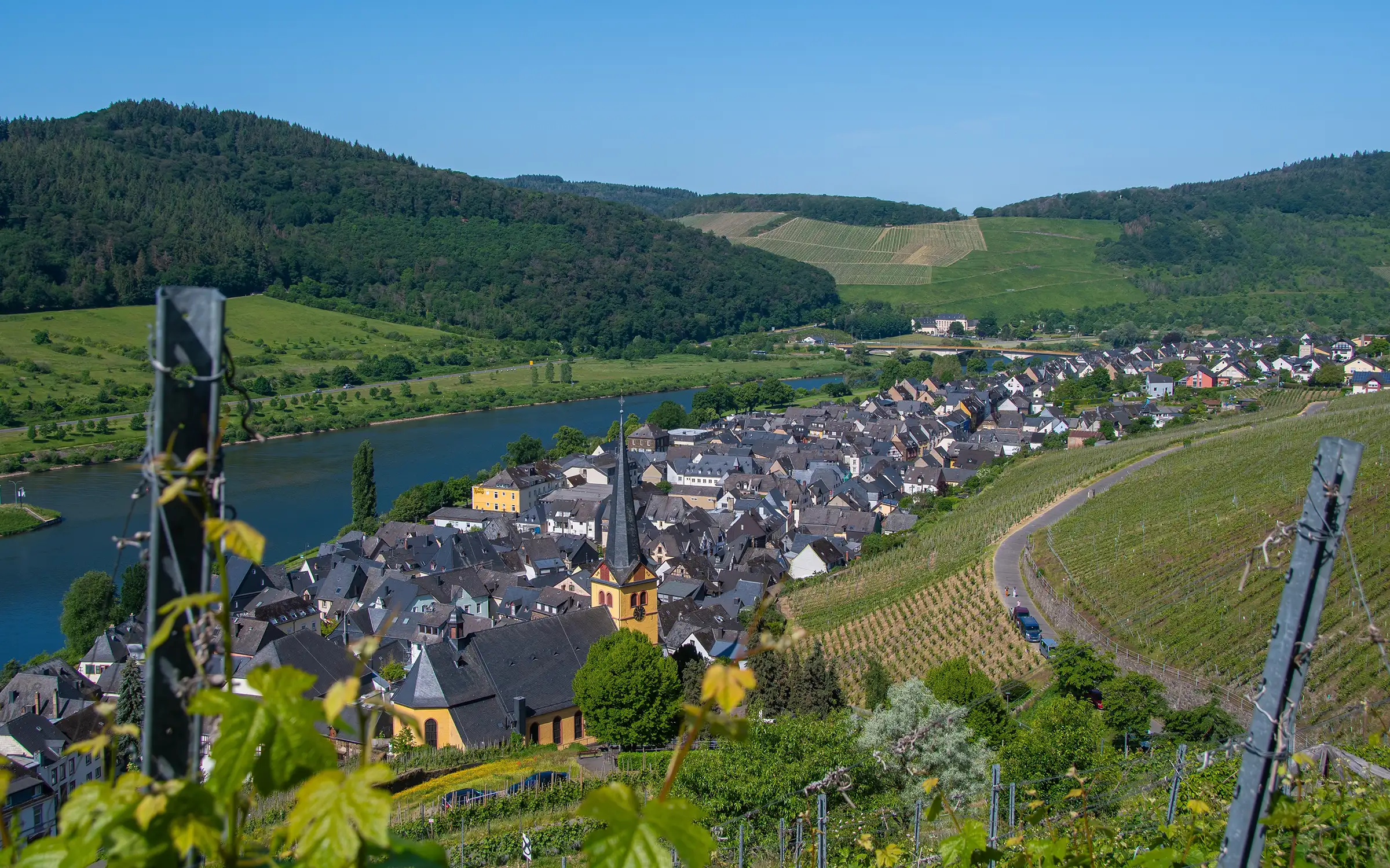 Zeltingen ligger flott til i Moseldalen | Expa Travel