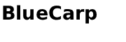 BLUE-CARP-LOGO