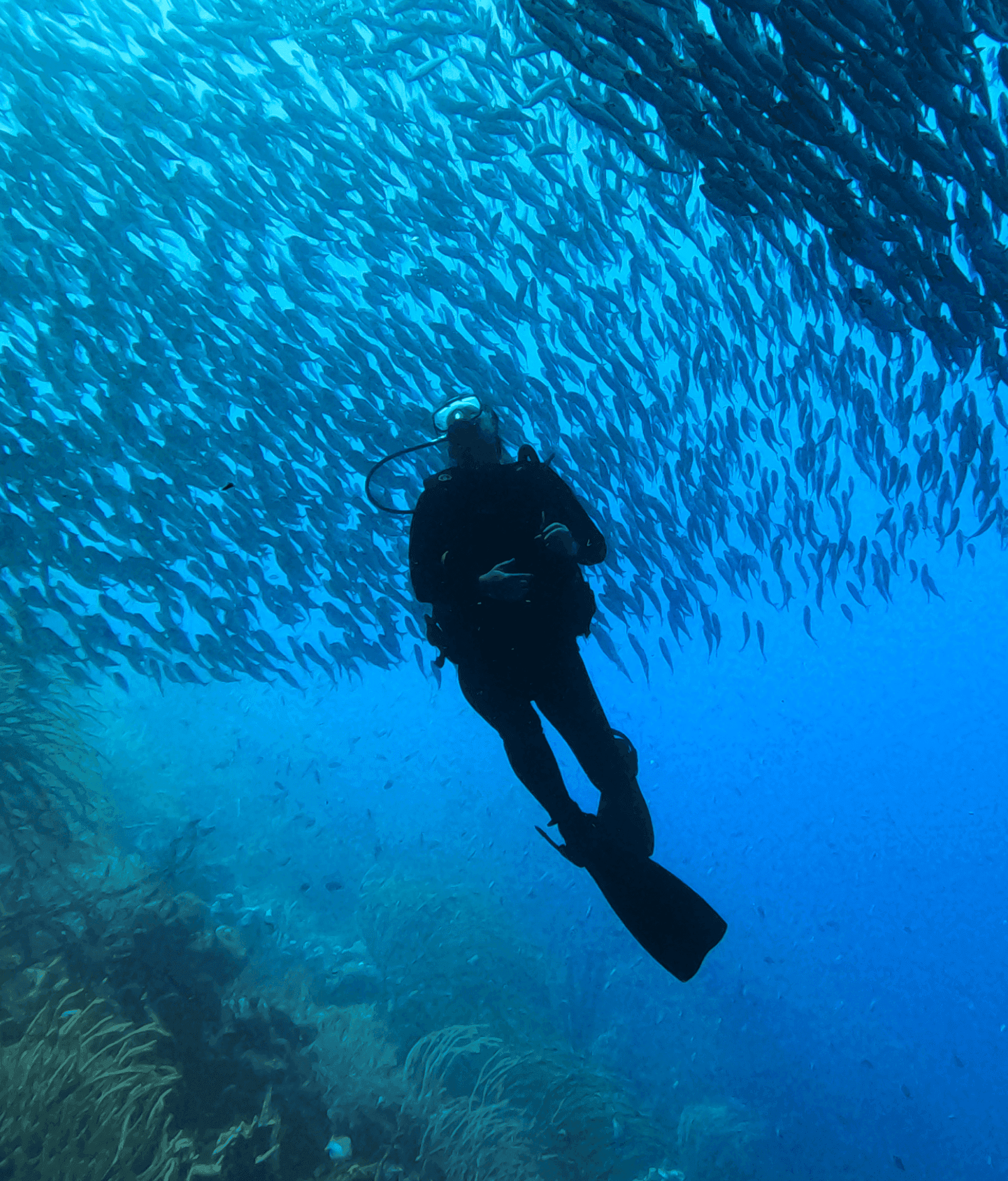Man Scuba diving with fishes in Bonaire