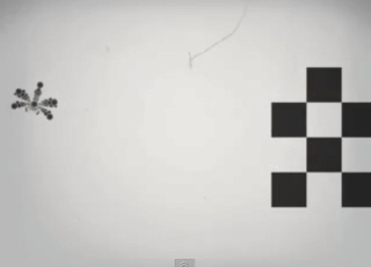 a white paper with an illustration of a dragonfly and a chess-like square from white and black small squares