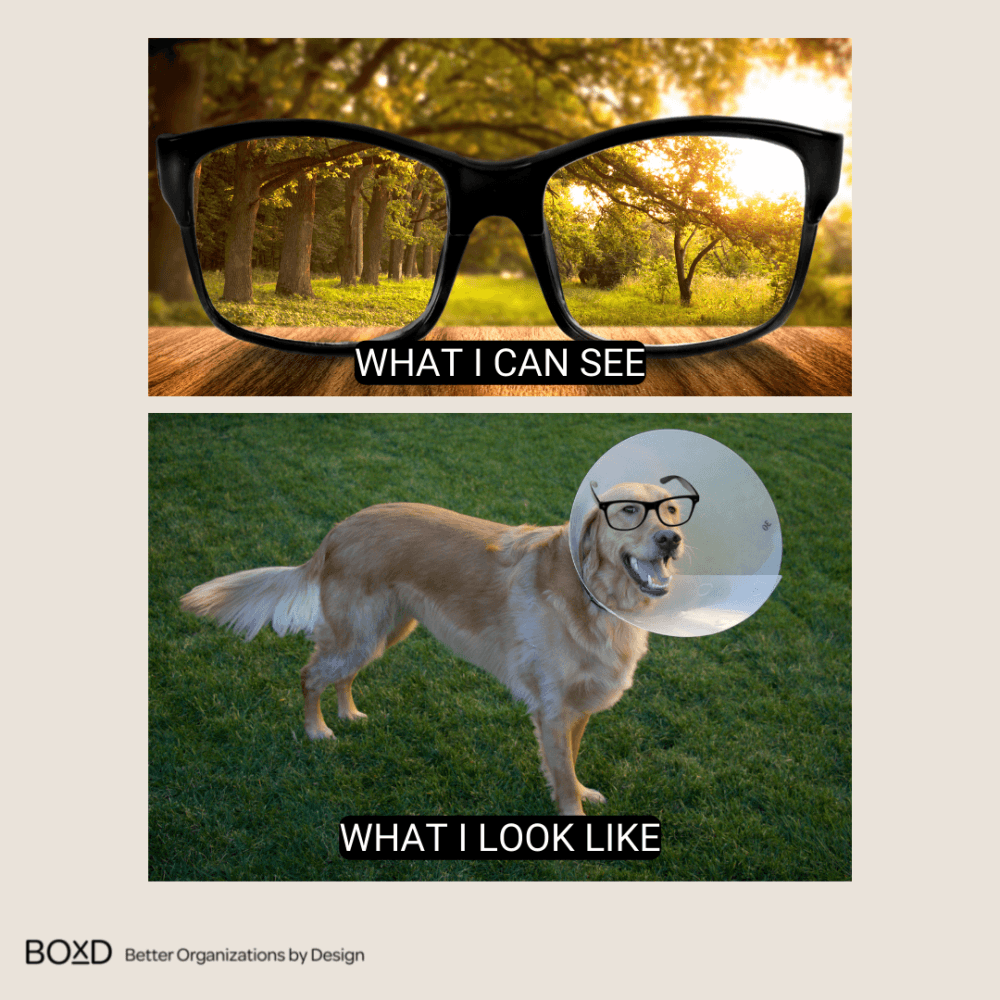 Cognitive Bias - What you can, and what you can't see