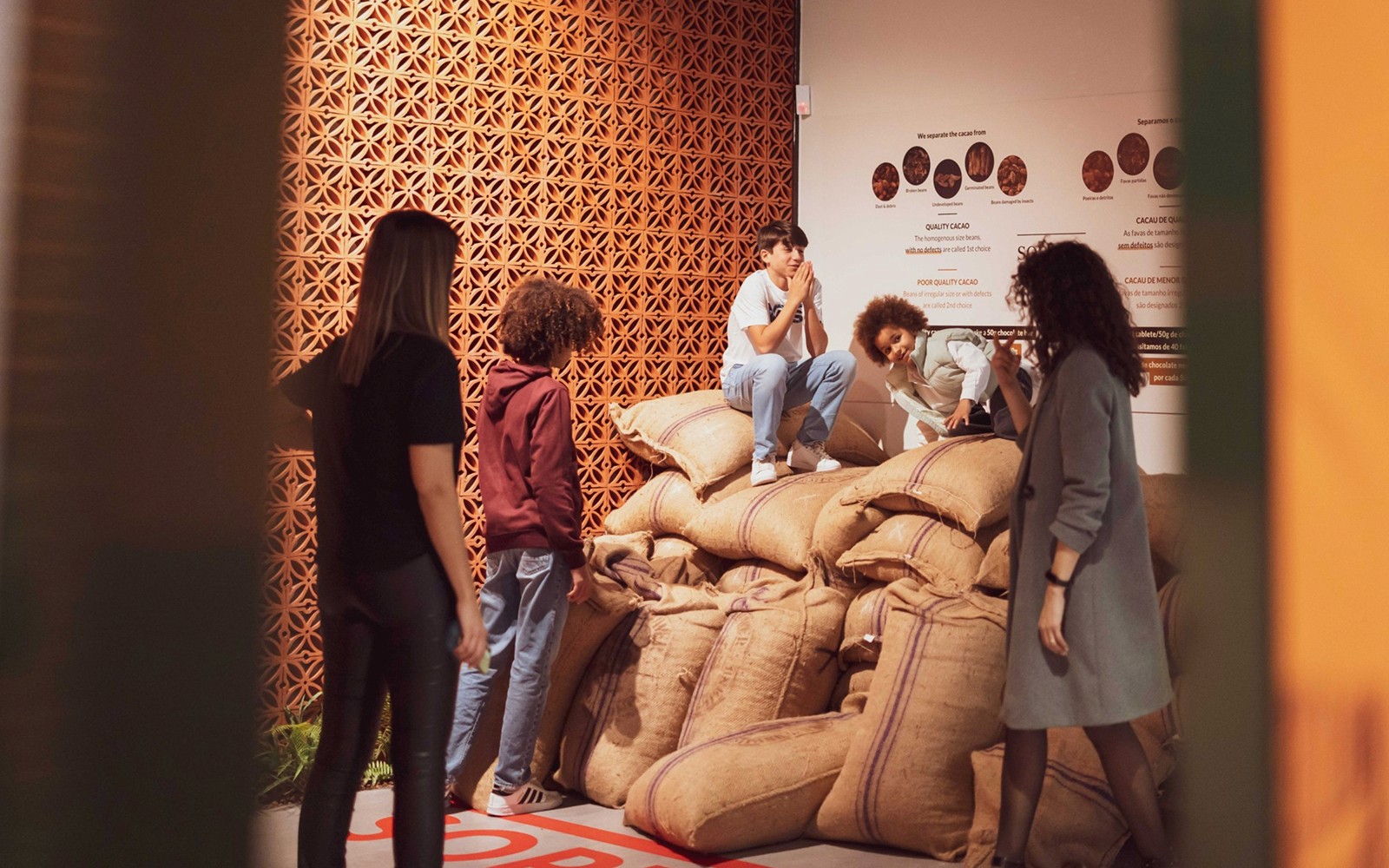 游客在波尔图的泰勒酒窖探索可可豆袋。