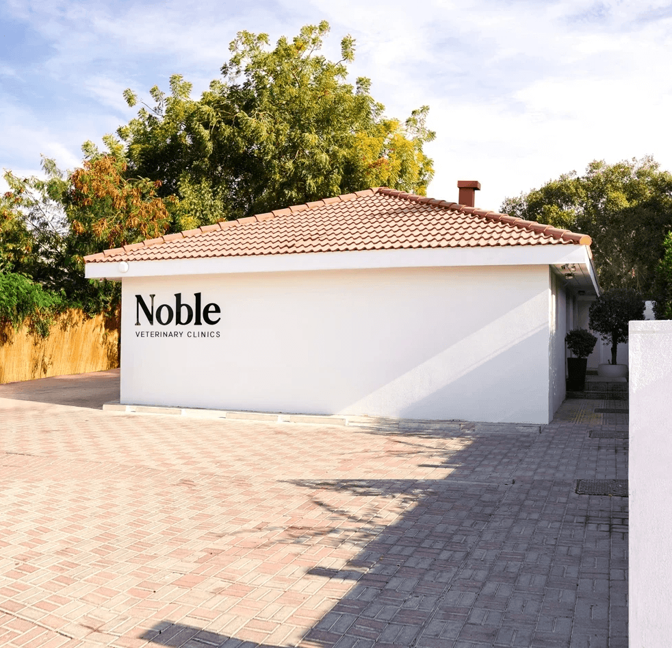 The front of Noble Veterinary Clinic in Jumeirah., Dubai. Our vet clinic features white walls with brick-like roofing and is surrounded by trees.