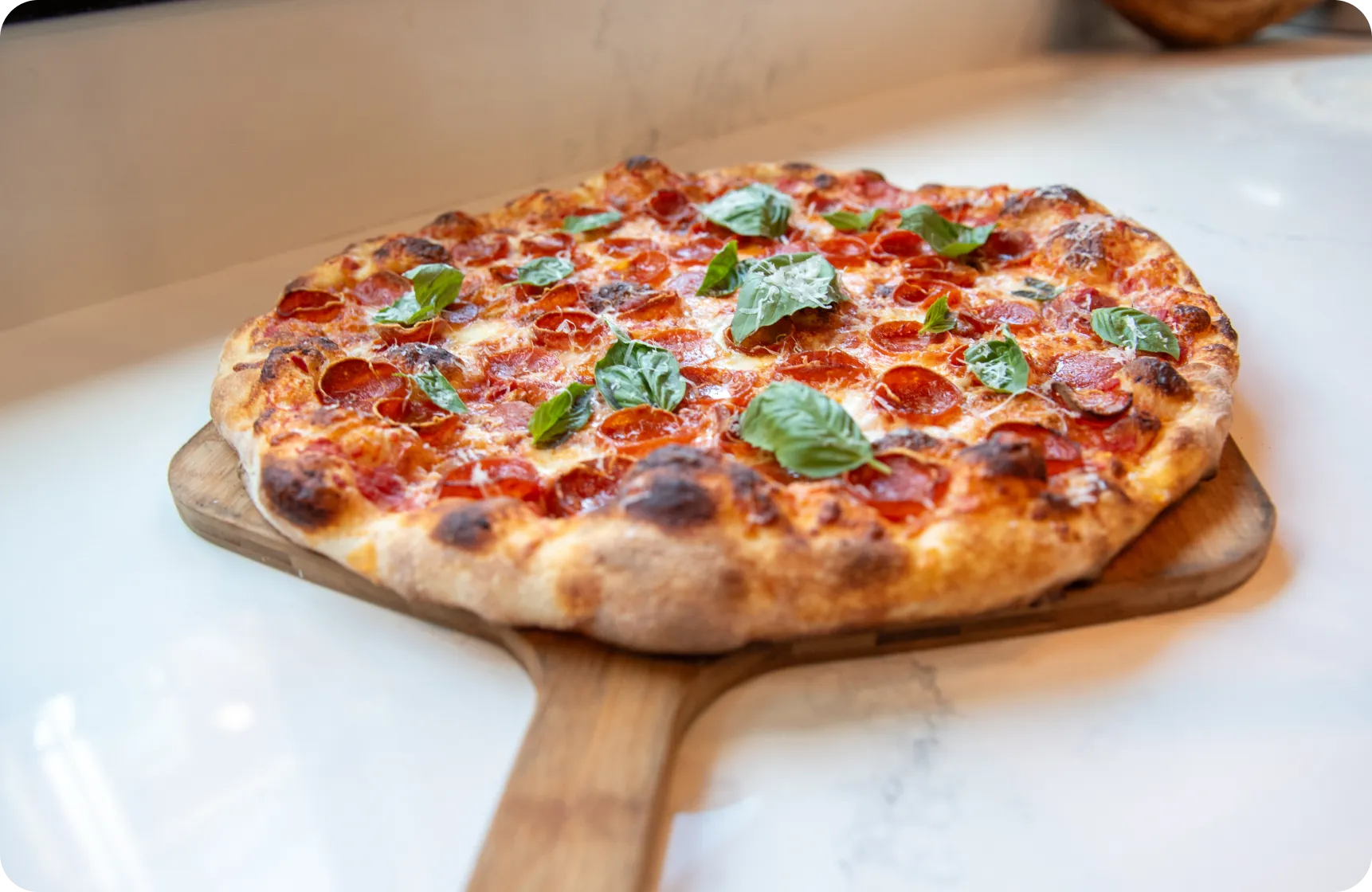 Fresh artisan pizza photographed from above