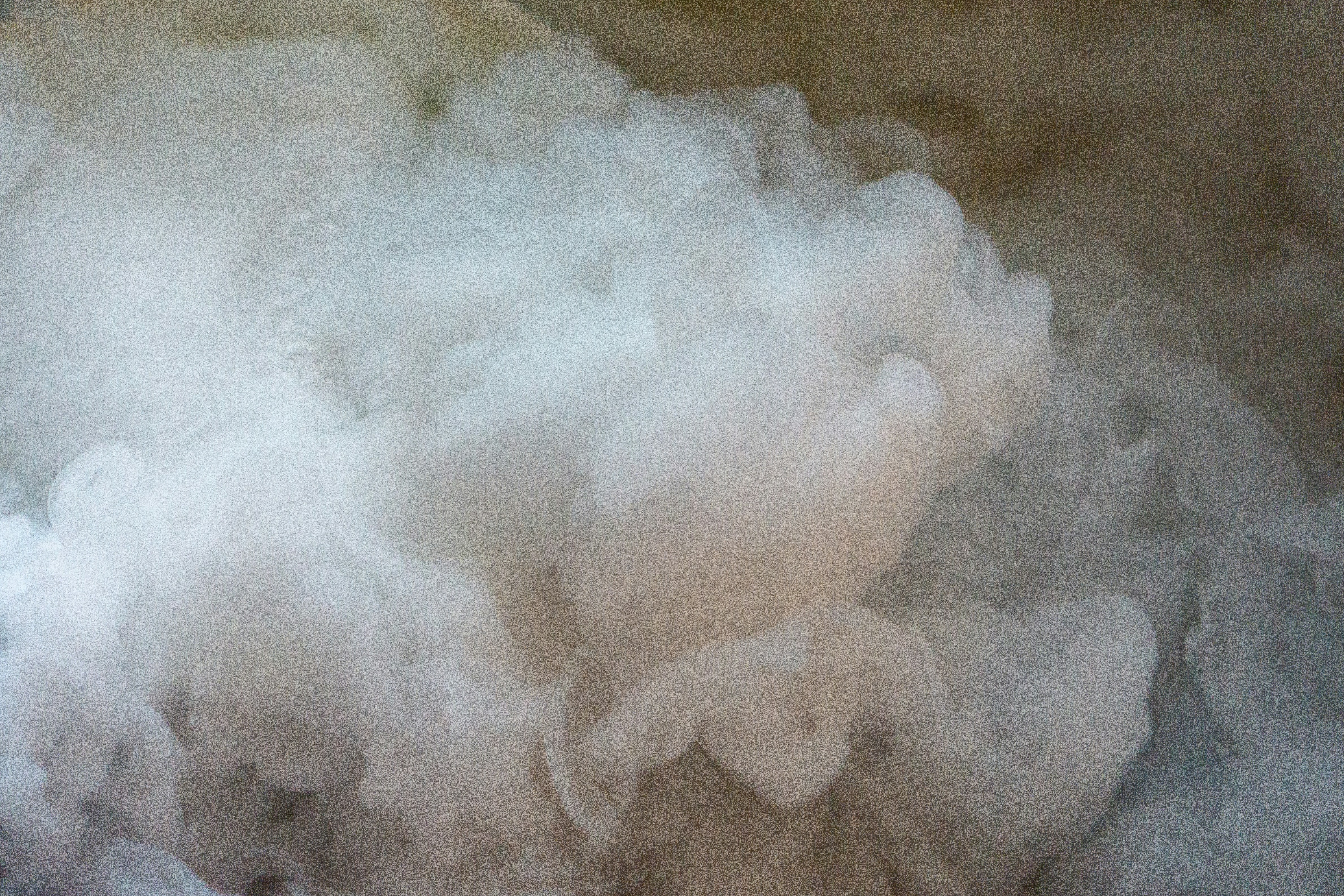 white cotton on brown textile