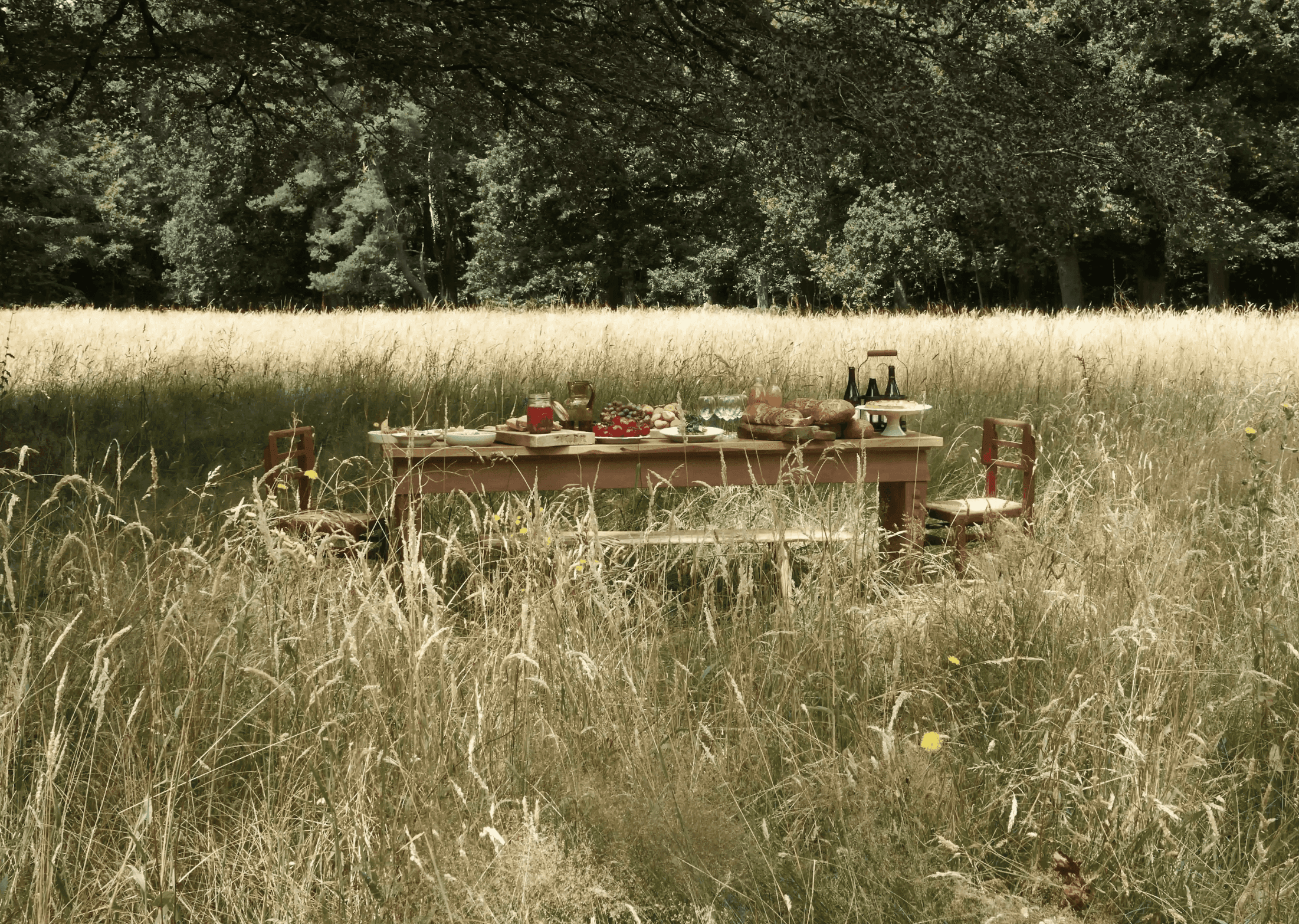 A rustic outdoor table set for a countryside meal, surrounded by tall golden grass and shaded by trees — an idyllic, timeless summer gathering in nature.