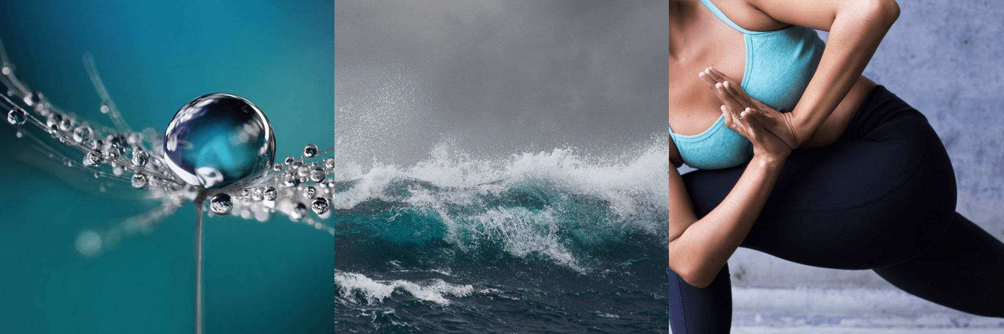 Close-up of water droplet on a stem, ocean waves, and a person in a yoga pose.