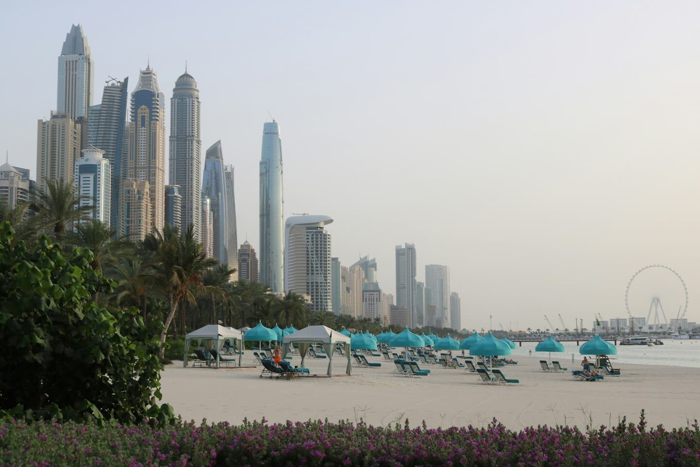 Image of a city view from a beach