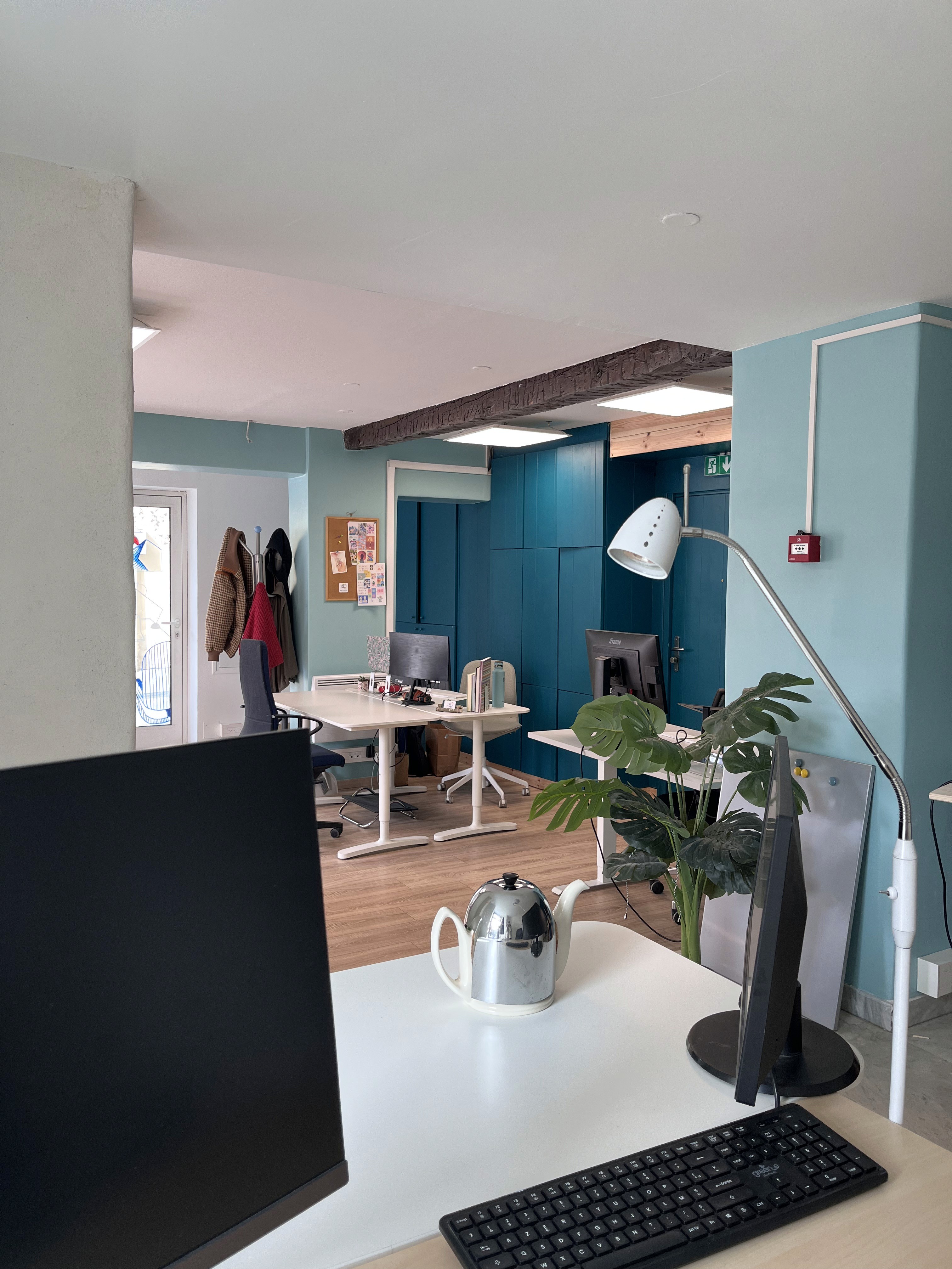 Photo d'un ordinateur portable, tenue par Anaïs, entouré d'un arbre fleuri