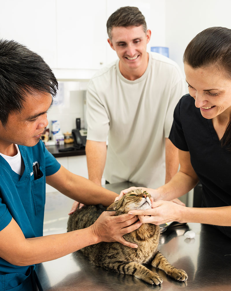 Cat Vaccination Benefits