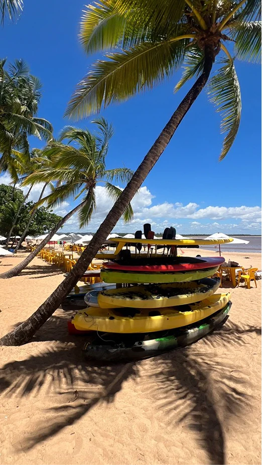 Colorful kayaks stacked under palm trees on a sandy beach.
