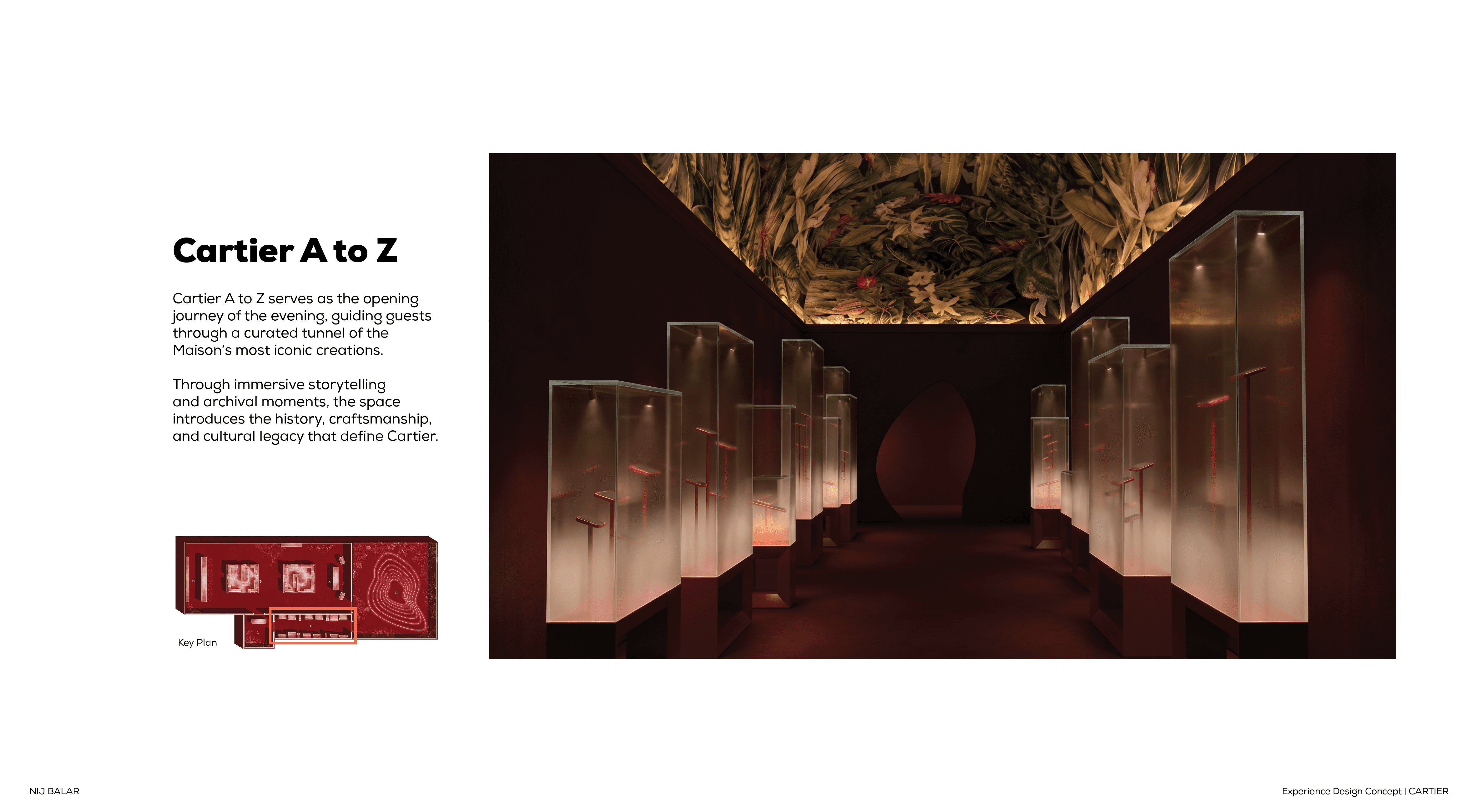 Slide 8