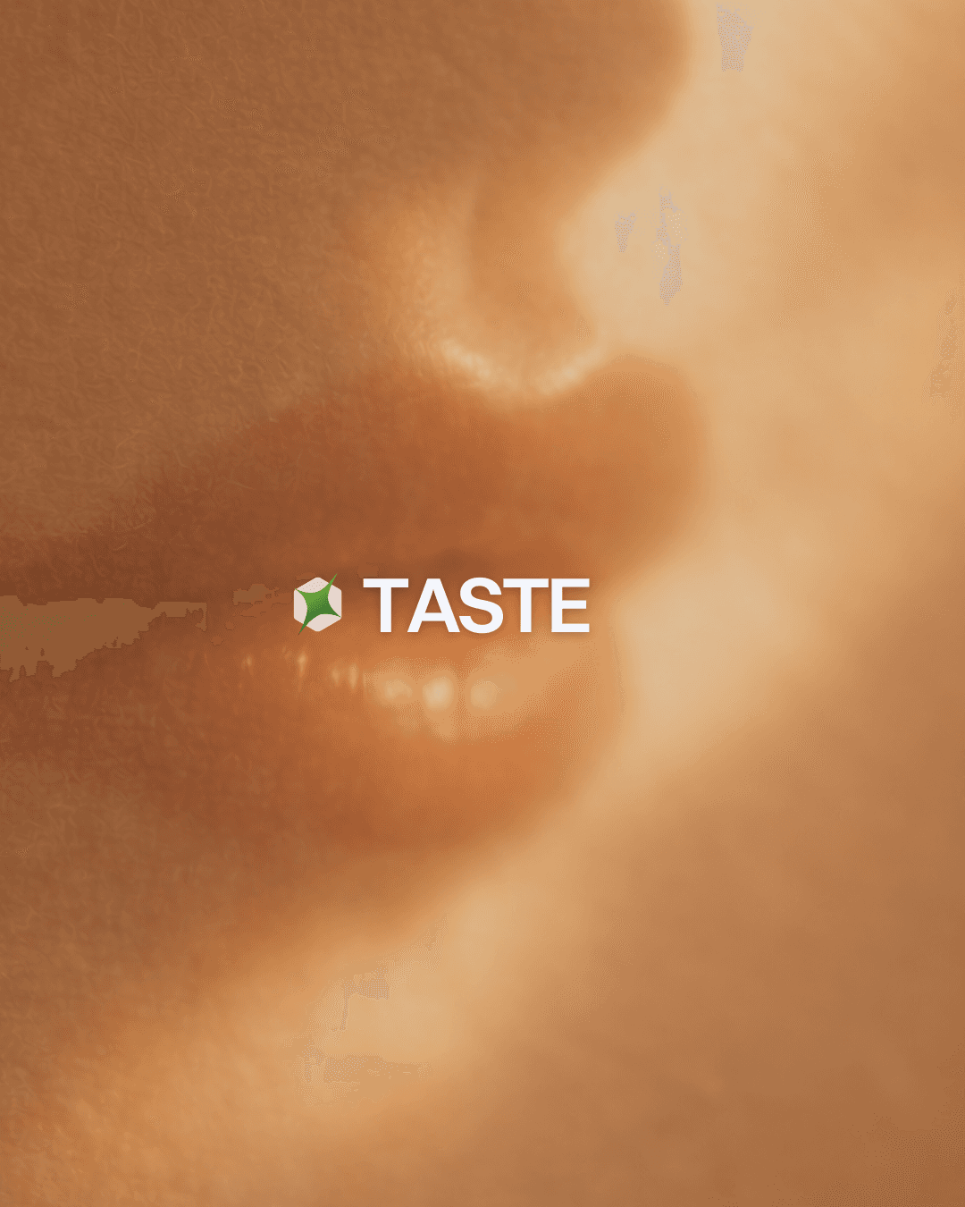 Collaboration between Lady Gaga and Dom Pérignon