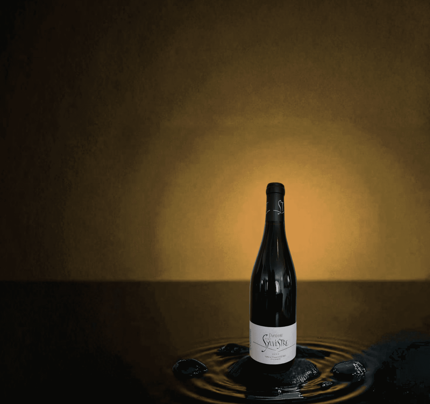Photo de la bouteille "Saint-Sylvestre Rouge" du domaine Saint-Sylvestre sur fond doré