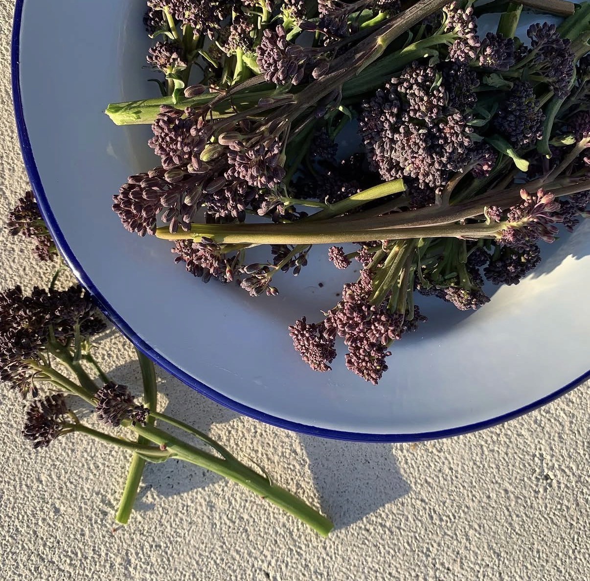 The best tomato-mozarella salad in whole Dublin City