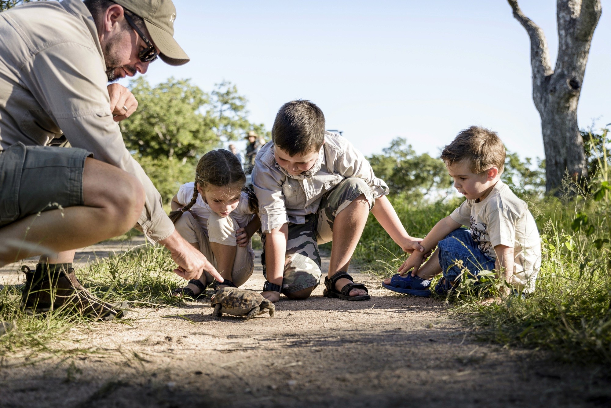 A guide showing children a tortoise on a sandy track
