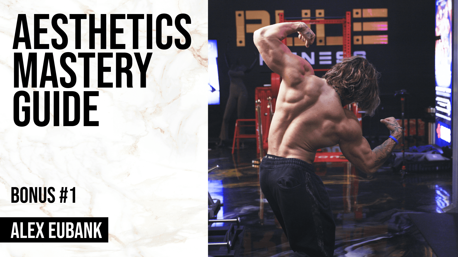 greek-god-training-system