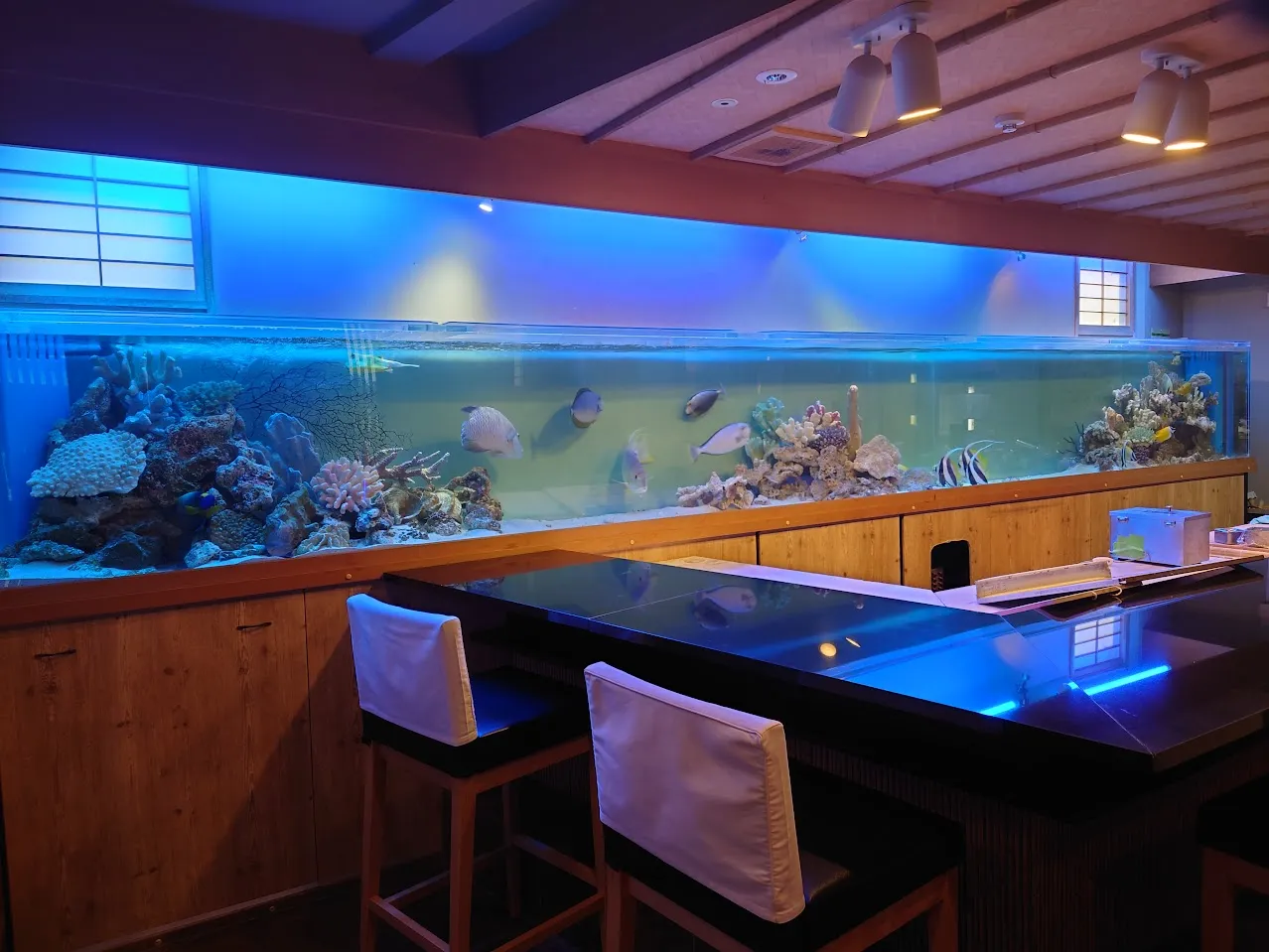 カウンター席背面に設置された横長の大型海水水槽