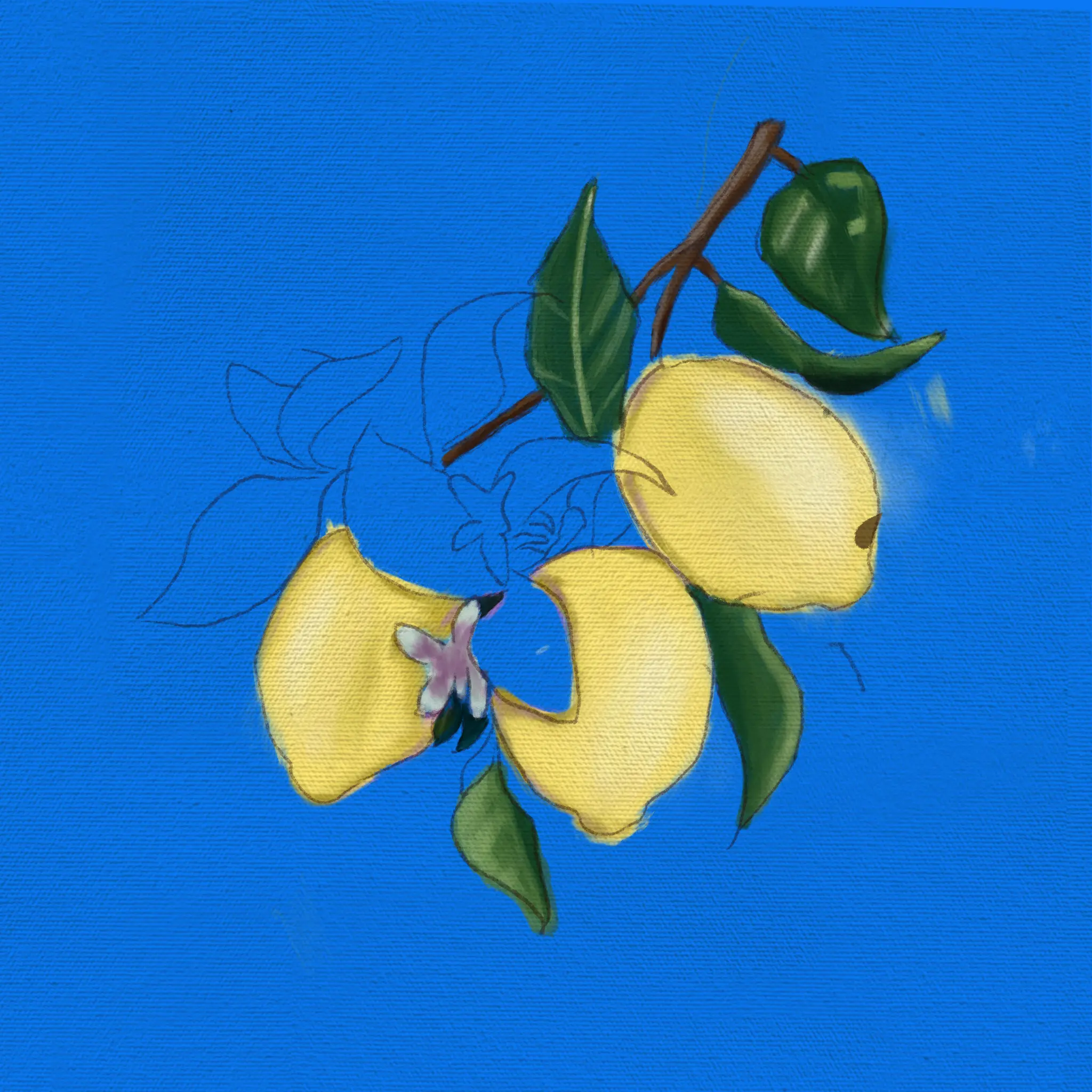 Project image