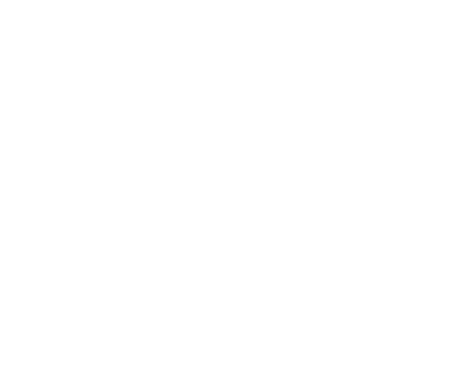 Logo OLLIE cliente Spark Maxx