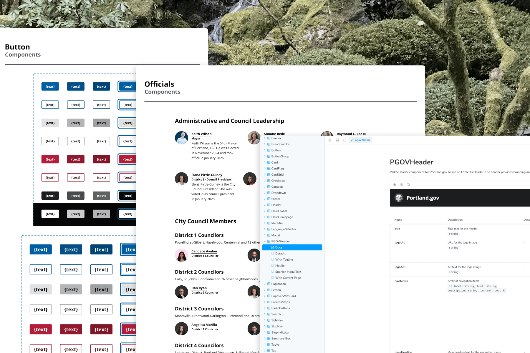 trees on forest with sun rays