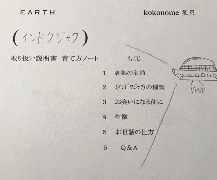 宇宙人への取り扱い説明書
