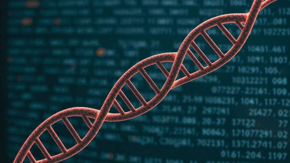 close of up DNA strand